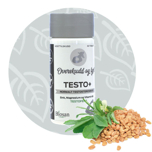 Testo+